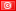 FLAG Tunisia